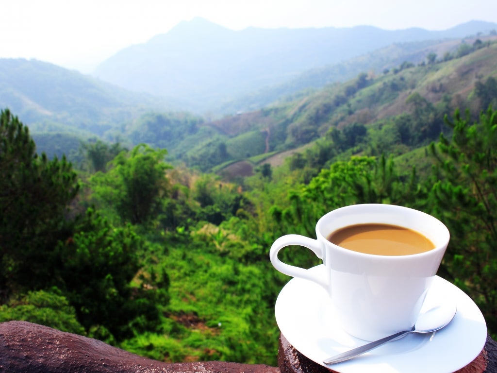 Green mountain coffee stock options