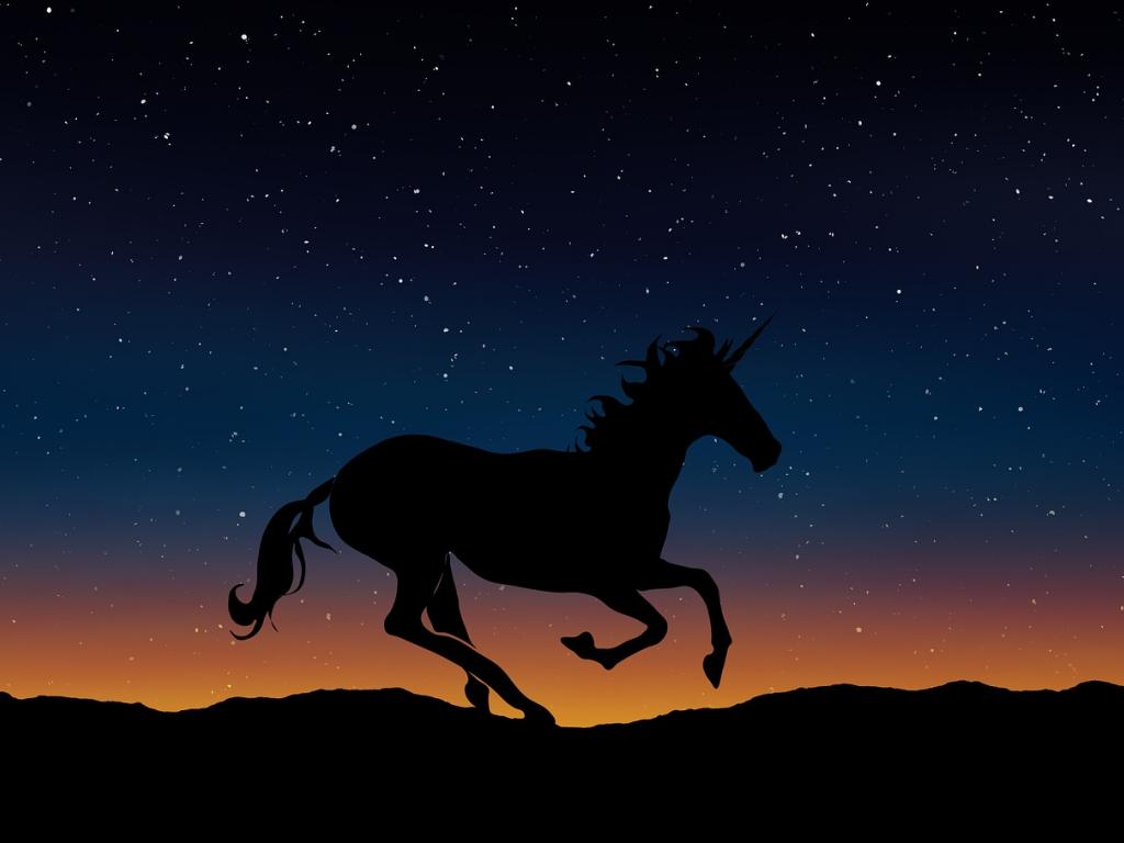 Top 10 Most Valuable Unicorns | Benzinga