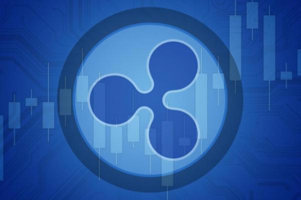 Why Is Xrp Ripple Hitting Record Highs Despite Sec Threat Benzinga