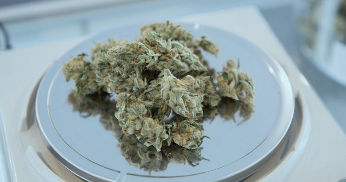 More Than One-Third Of Canadians With Cancer Acknowledge Using Cannabis
