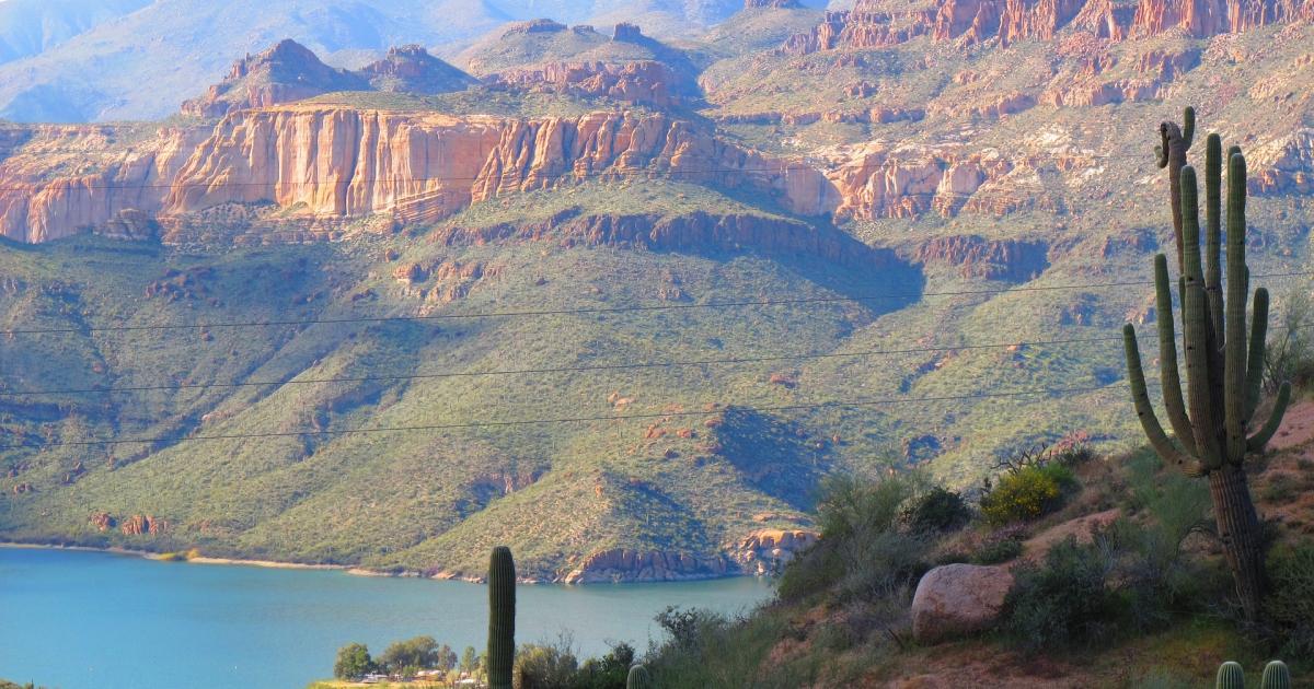 Arizona Voters Approve Proposition 207, Legalizing Recreational Cannabis