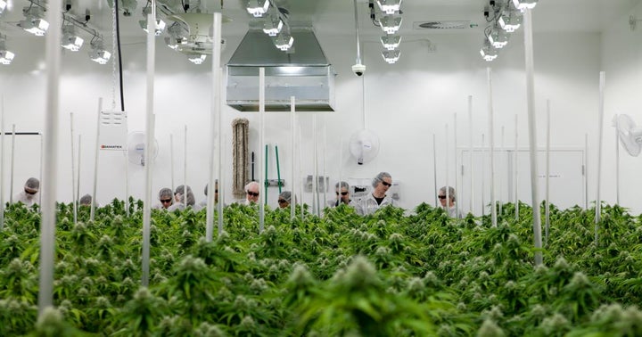 Europe: The Next Big Cannabis Market?