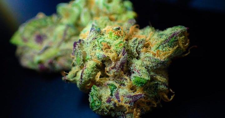 Cannabis Layoffs Will Likely Continue As Market Stabilizes Cannabis Layoffs Will Likely Continue As Market Stabilizes