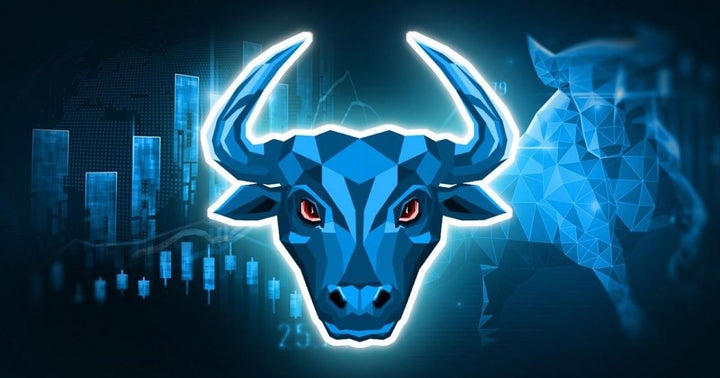 BulleX Earnings Top 0,00 In Just 2 Months