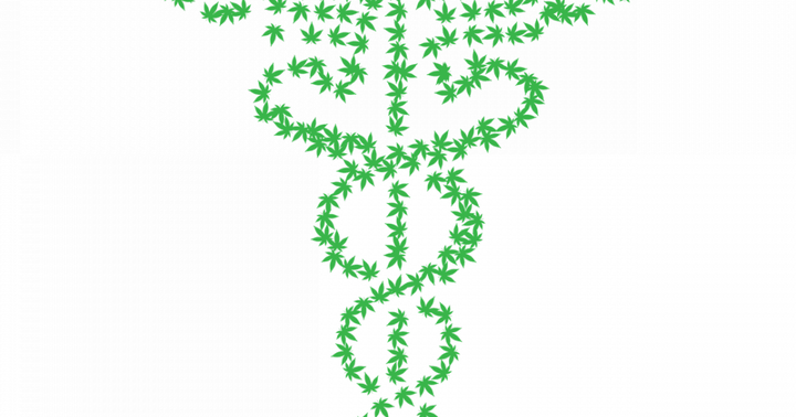 Canonic Partners With Hadassah Medical Center For Pre-Clinical Studies To Help Cannabis Product Development
