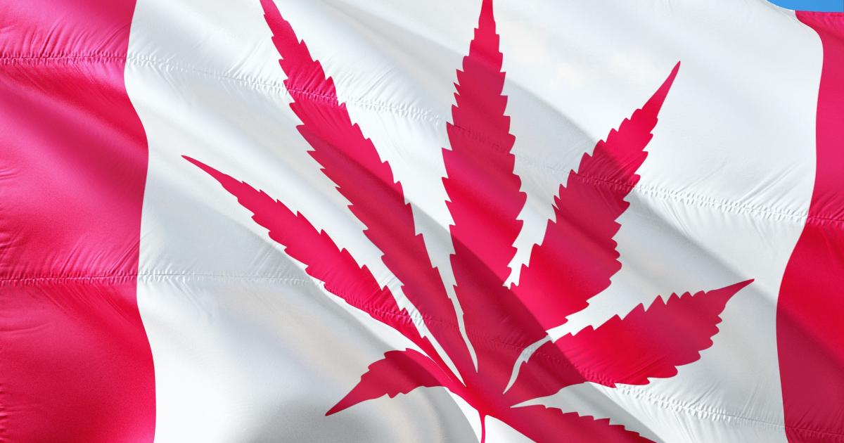 This Study Looks At How Canadians Use Cannabis For Health And Wellness