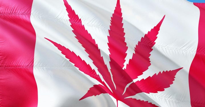 One Year Later: How Every Major Cannabis Stock Has Performed Since Canadian Legalization