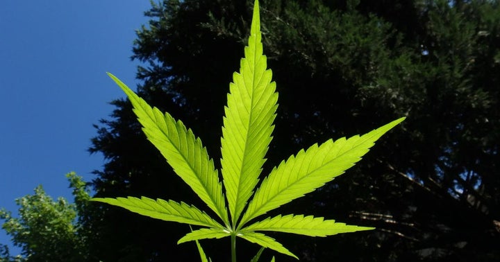 The Week Ahead In Cannabis: Utah Holds Special Session On Legalization, Supreme Cannabis Earnings And More
