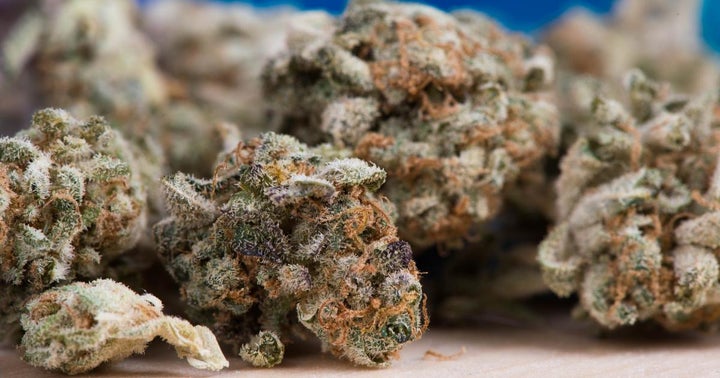 Planet 13 Expands Its Delivery Services In Response To COVID-19 Concerns