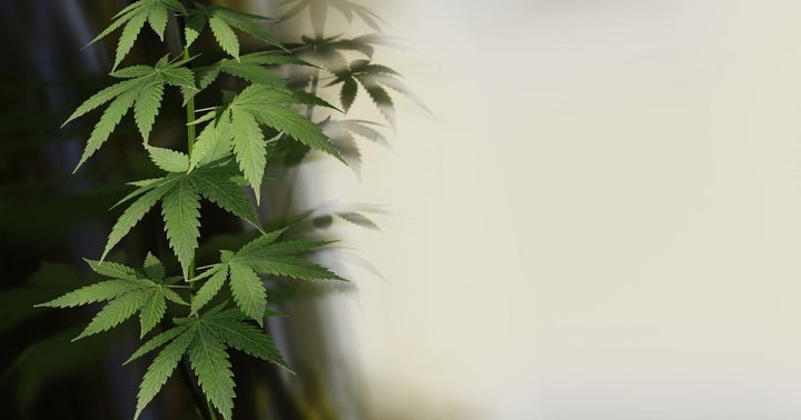 Cresco Labs Closes On 'Transformational' Origin House Acquisition