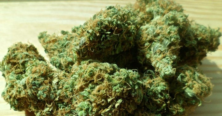 Cannabis Deemed 'Essential' Commodity During Michigan's Shelter-In-Place Order