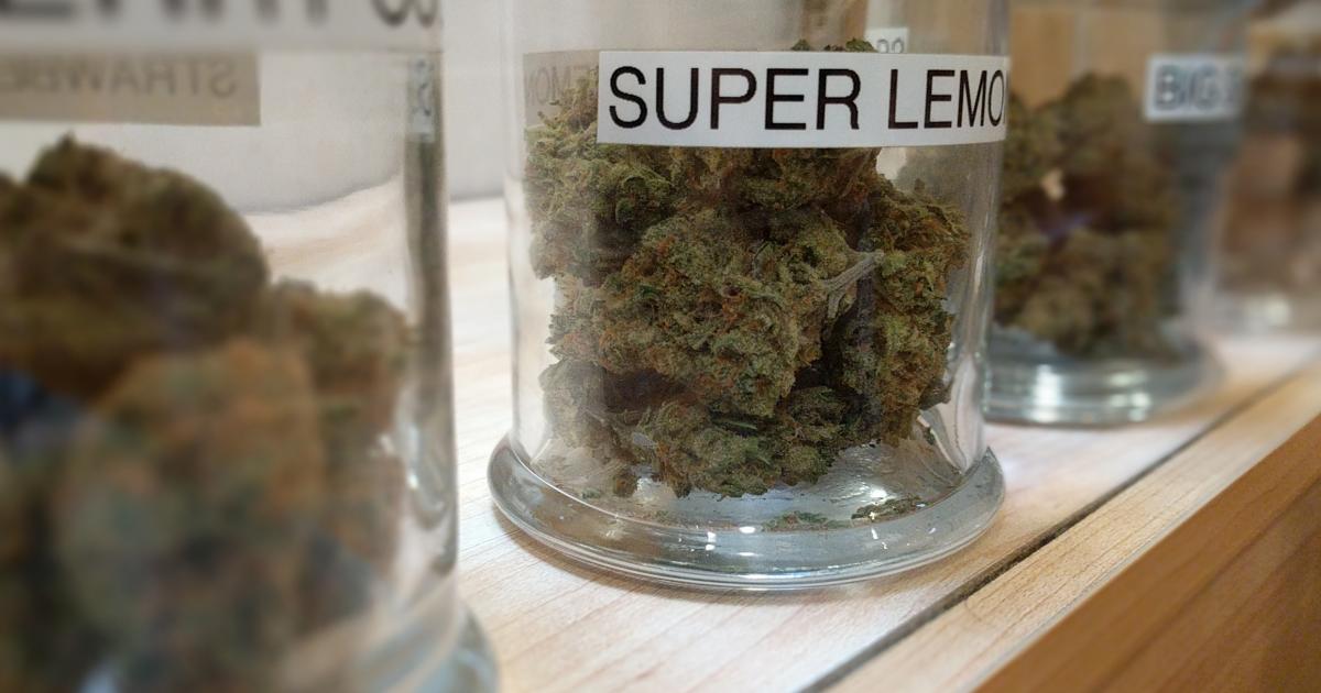 Legalizing Cannabis: Five Things For European Countries To Know