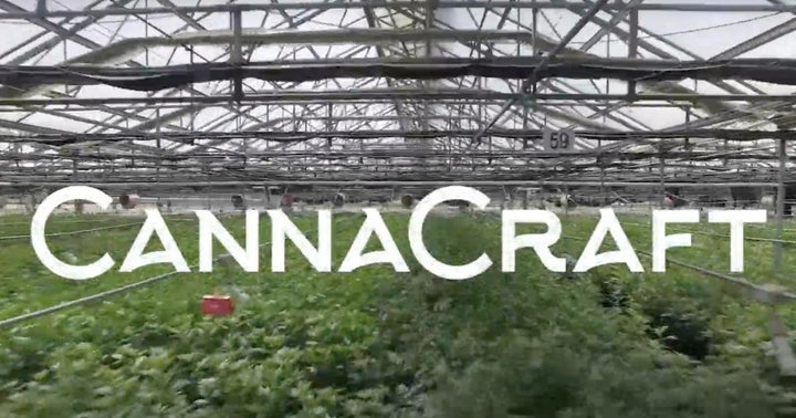 CannaCraft Now Making Hand Sanitizer To Help Combat COVID-19 Pandemic