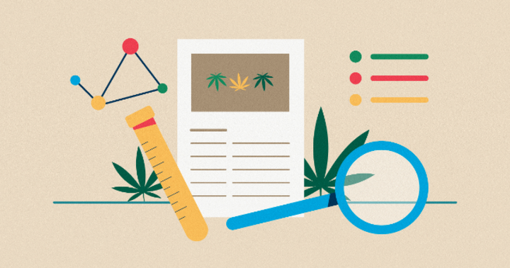 Cannabis Research Skyrocketed In 2020
