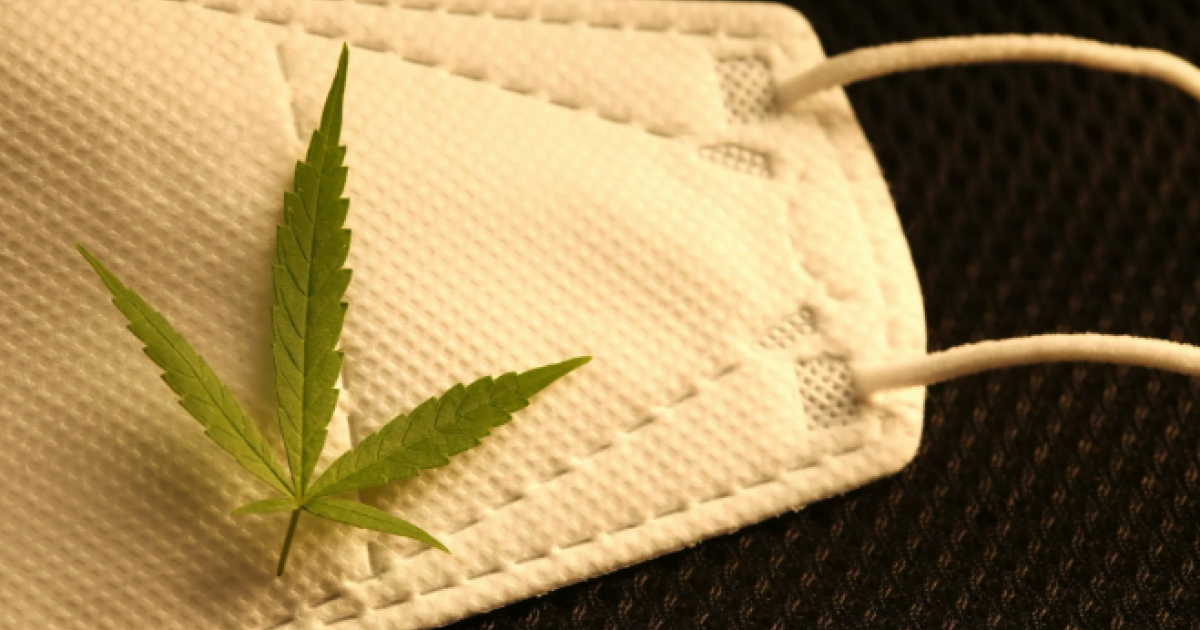 This Organization Is Giving Away Weed If You Get A COVID-19 Vaccine