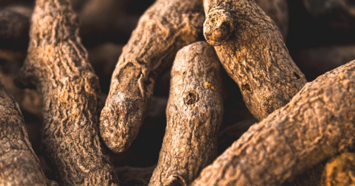 7 Amazing Herbs You Can Use For Better Health
