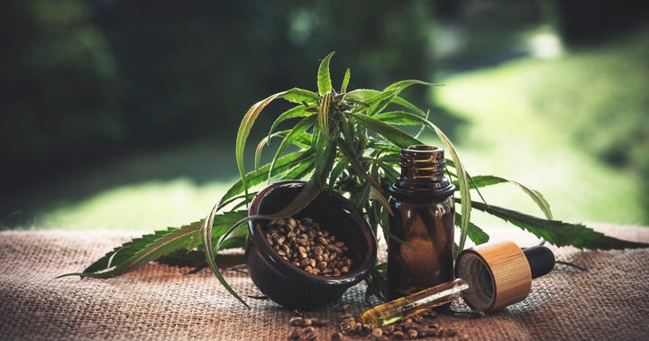 Germany Opening Up to Hemp As Government Funds CBD Research