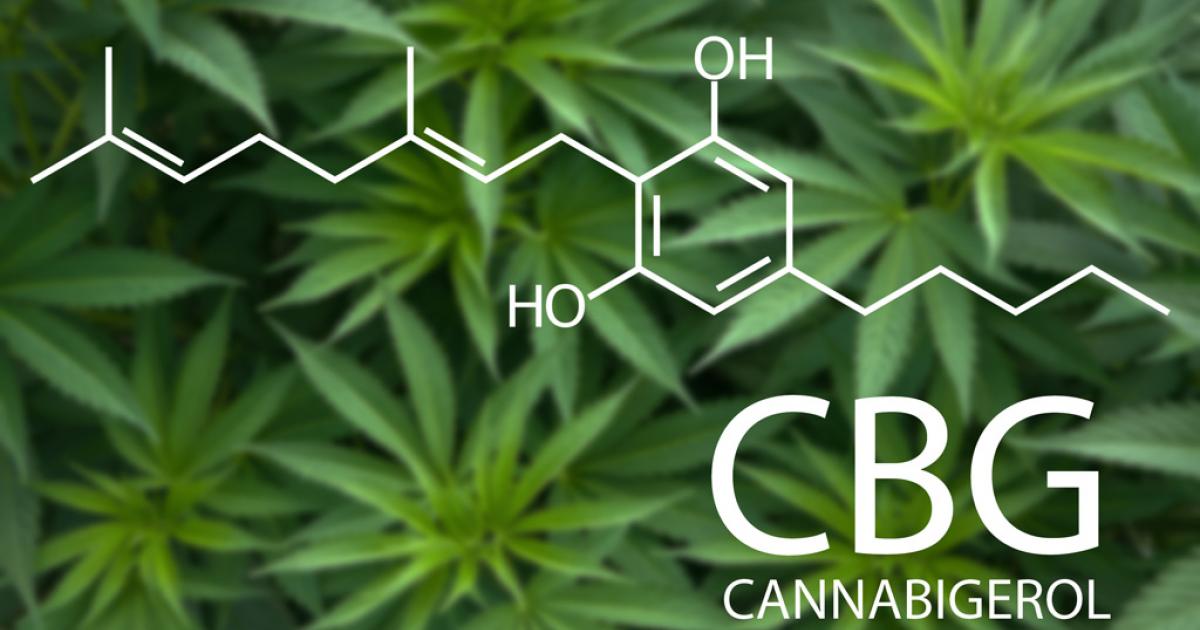 CBG, The Mother Of Cannabinoids, Is In The Spotlight