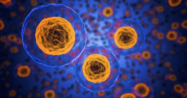 Can-Fite Obtains Patent For Treatment Of Osteoarthritis In Mammals