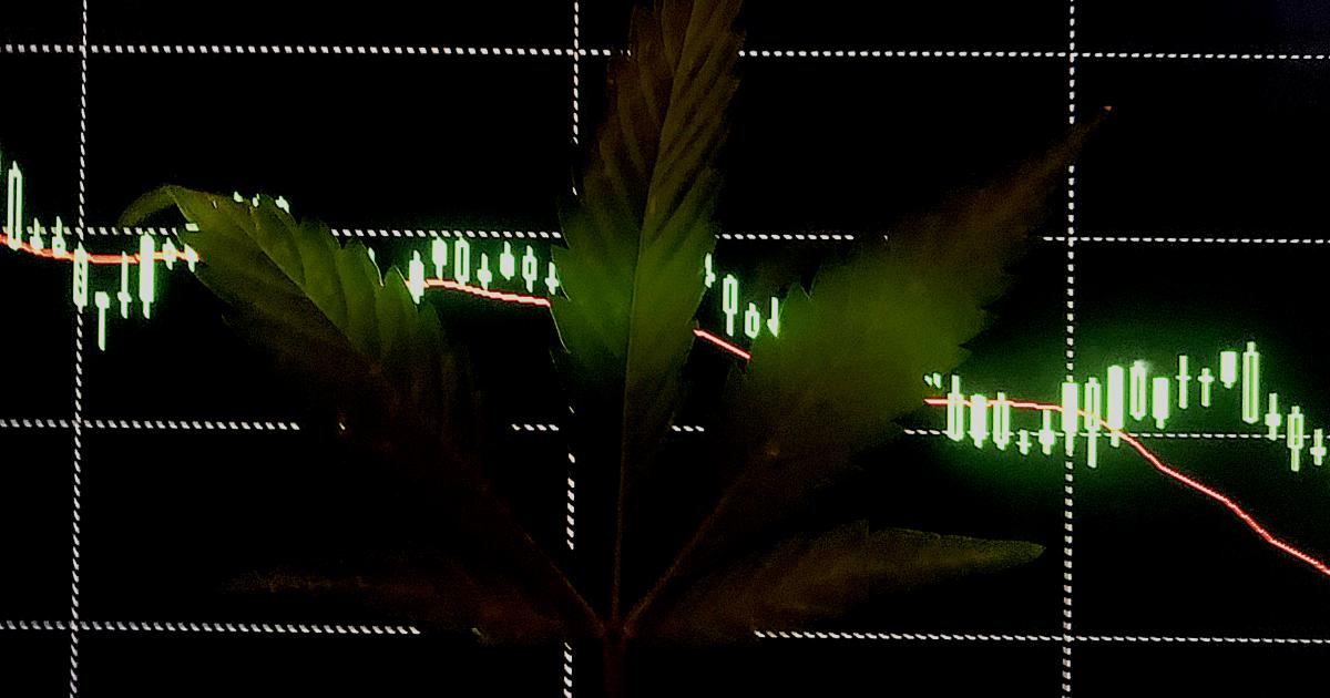 The Week In Cannabis: FDA Sends Warning Letter, DEA Issues Plan For Cultivation, Kevin Durant Joins Board
