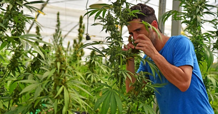 Podcast: Hip Hop And The Politics Of Weed With Benzinga's Javier Hasse And Digital Underground's 'Vegas Don'