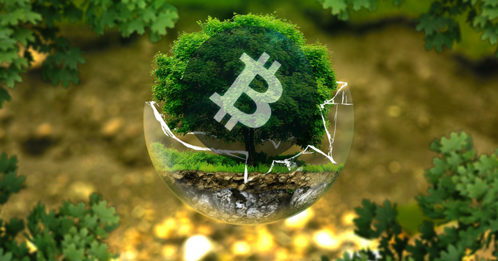 Bitcoin Gets a Carbon Black Eye from Musk, but Draper Stands by Price Predictions