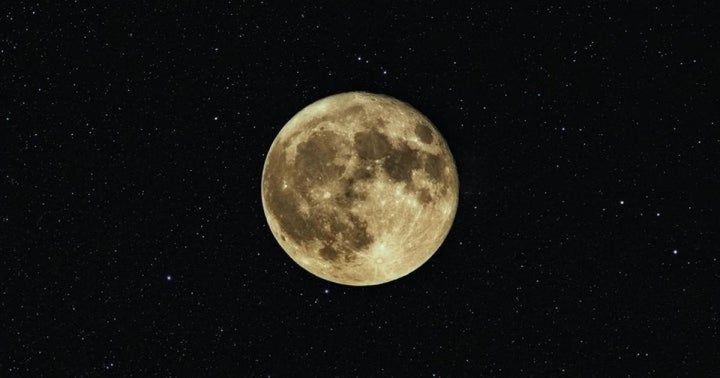 Dave Portnoy Wants To Become A Leader In Safemoon With $40K Investment: 'Invest At Your Own Risk'