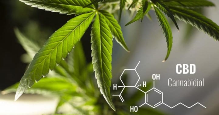 Debunked: These 5 Harmful CBD Myths Must Die