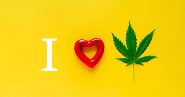 15 Best Places To Live If You Love Cannabis