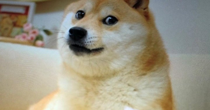 Such Doge, Not Much Wow! Mark Cuban 'Making A Mistake' With Dogecoin Payments, Says Long-Time Crypto Bull