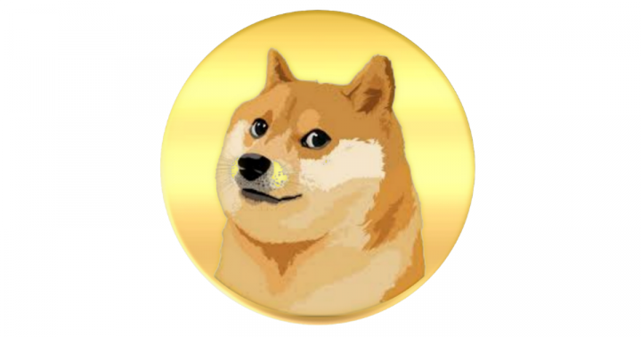 All In On Dogecoin? Why Evolving Fundamentals Could Make Doge A Sound Investment