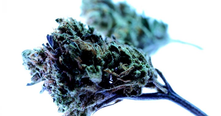 Canopy Growth CEO Looks To The 'Pharmaceutical World' After String Of M&A Deals