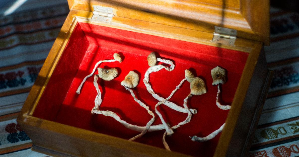 What Will The Psychedelics Space Look Like In 2021? Experts Weigh In
