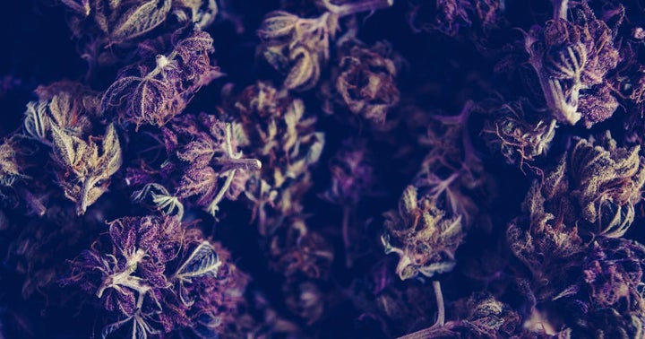Cannabis Co. Decibel Posts Record Performance Of Cannabis Derivative Products, Upsizes Authorized Overdraft