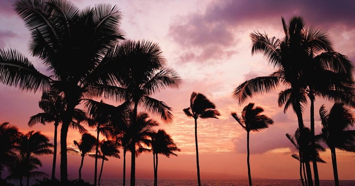 Hawaiian Cannabis Brand Noa Botanicals Expands To The Mainland