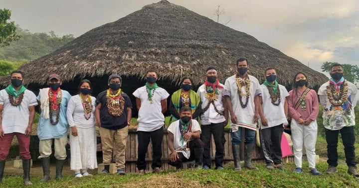 The Power Of Plant Medicine: How Ayahuasca Communities In Latin America Battled The Covid-19 Pandemic