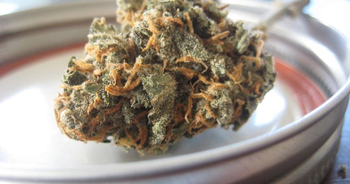 Surprised? New Study Shows 'All Kinds Of Memory Errors' Can Occur While High On Cannabis