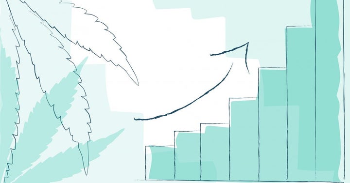 Zenabis Reports YOY Revenue Growth, Positive Adjusted EBITDA