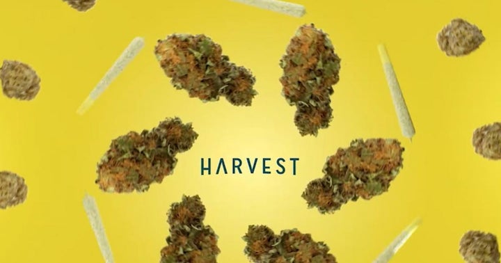 Harvest Health Tallies 35 Retail Stores Nationwide, Posts 134% YoY Revenue Increase
