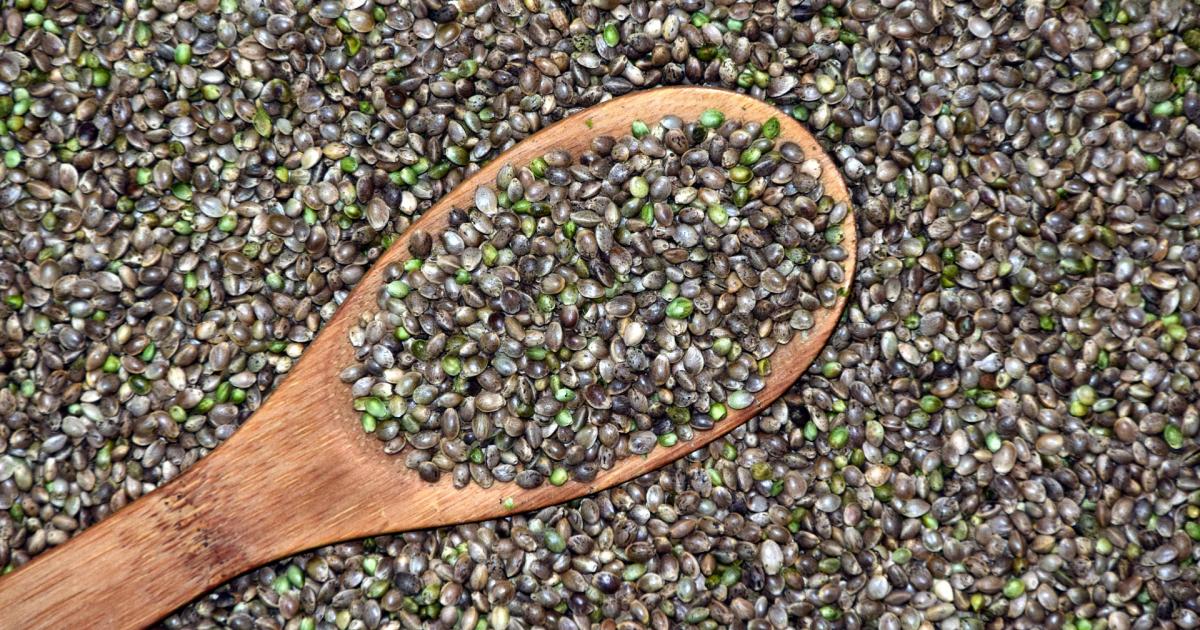 Some Industrial Hemp Farmers Will Qualify For Federal Crop Insurance Beginning In 2020