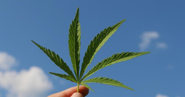 Anheuser-Busch InBev, Tilray Plan CBD-Infused Drinks Via Joint Venture