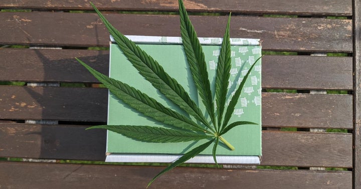 Pennsylvania's Lieutenant Governor, Cannabis Advocates Call For Legalization On 420