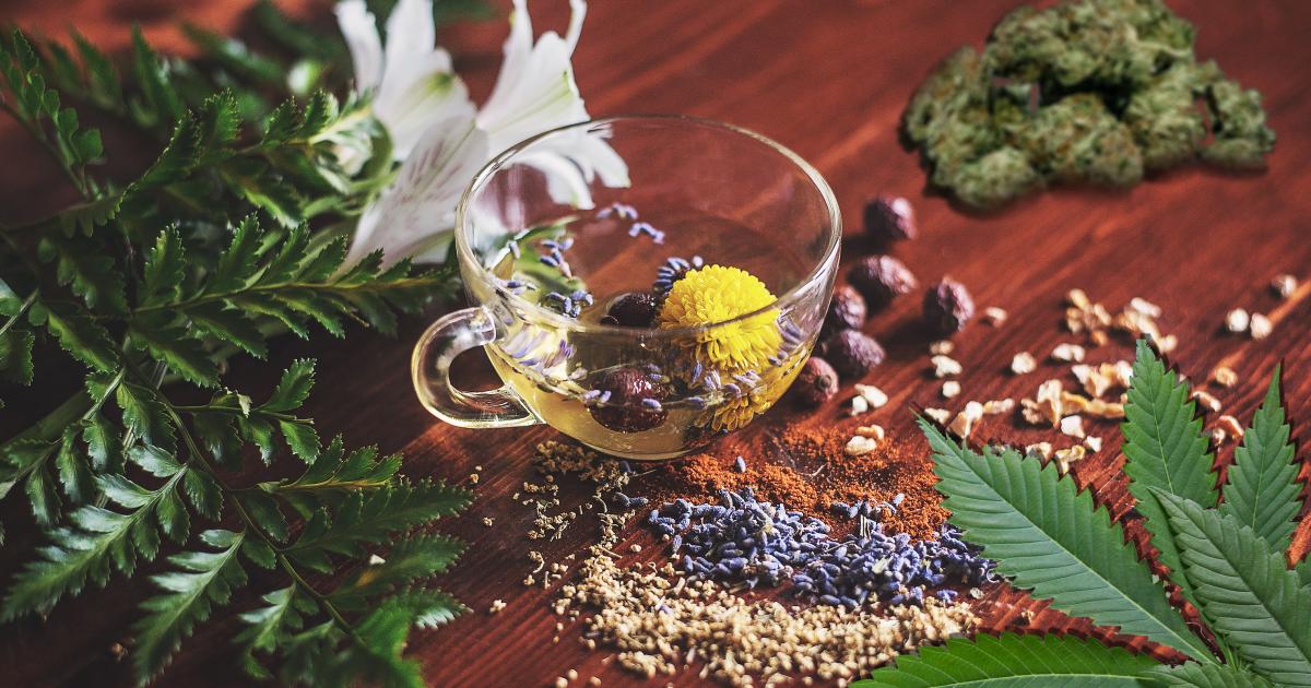 5 Drivers Of The Correlated Growth Of Cannabis, Herbal Medicine