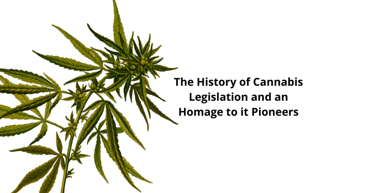 The History Of Cannabis Legislation And An Homage To Its Pioneers