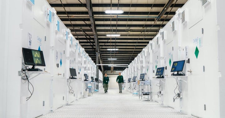 Delta 9 Is Thriving In 2021 In The New Cannabis Market