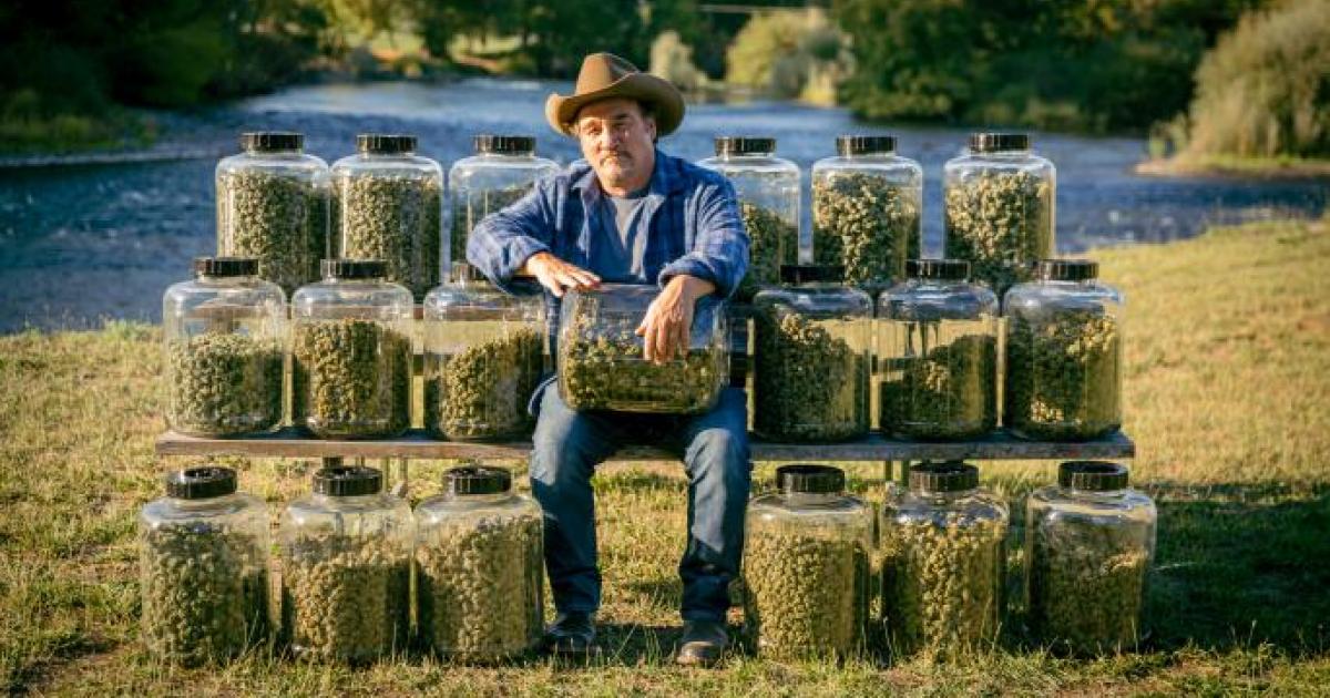 Jim Belushi Takes On Your Blues With His Pot