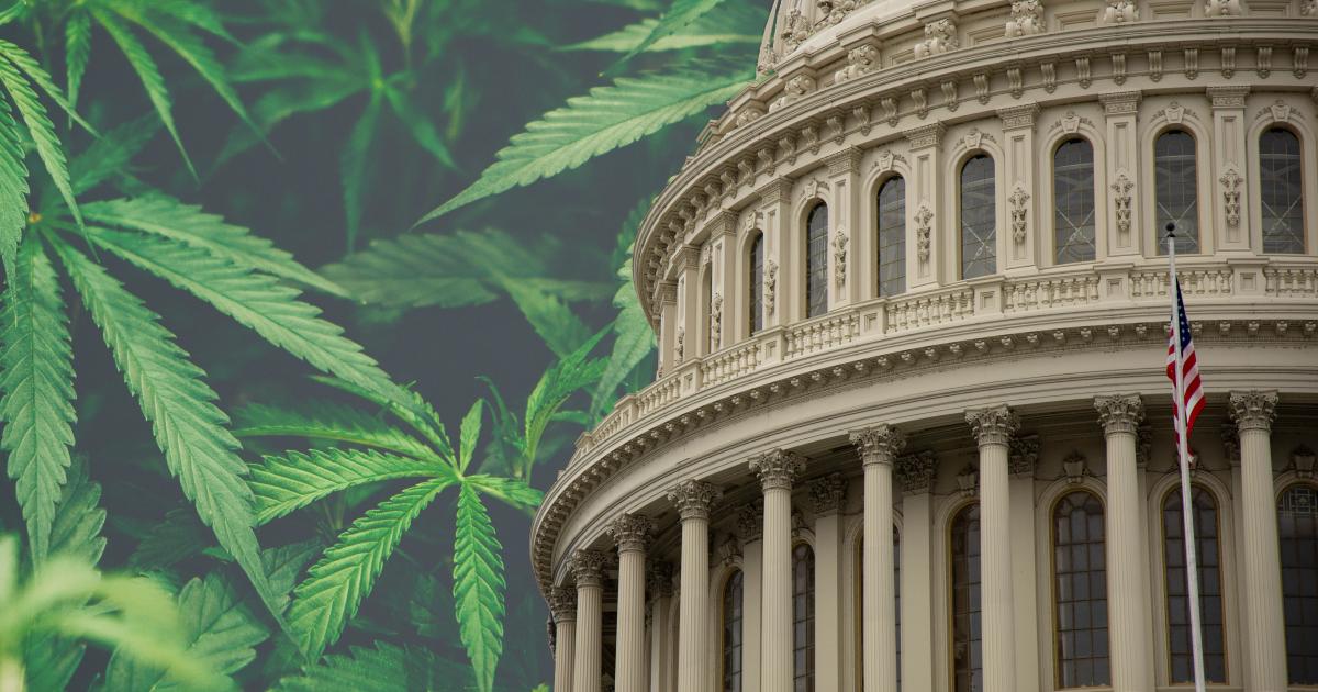 House Committee Holds Hearing On 'Cannabis Policies for the New Decade'
