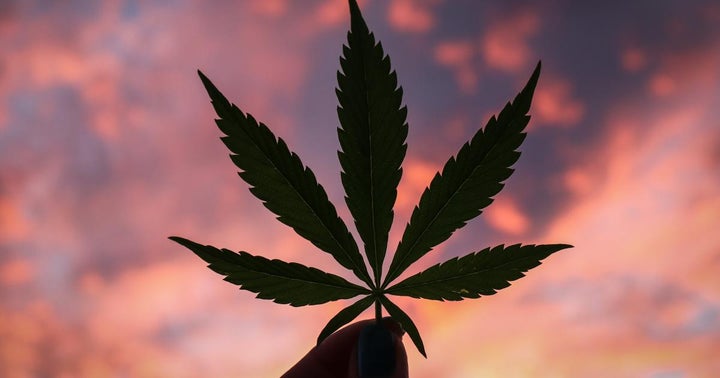 5 Reasons Why C21 Investments Is Ready To Take On The Big Cannabis MSOs