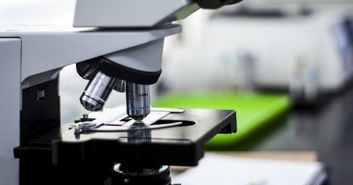 Execs Say Cannabis Lab Testing Sector Improving Despite Struggles
