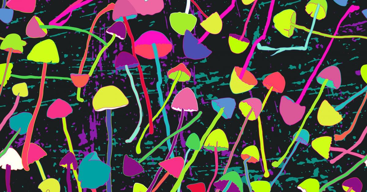 Nothing Silly About Psilly From Mushrooms And Its Medicinal Properties